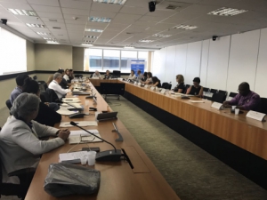 Presidente do Sintapi-CUT, Luizão, participa de reunião do CNDI, em Brasília