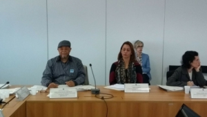 Jun / Ago 2017 - Reunião do CNDI - Luizão (Presidente do SINTAPI-CUT) coordena a Comissão de Fundos e discute PL 2.029/15