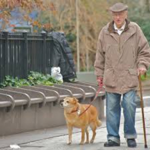 Cães ajudam a manter idosos mais ativos